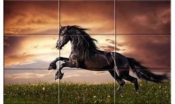 Puzzle - Beautiful horses for Android - Download the APK from Habererciyes